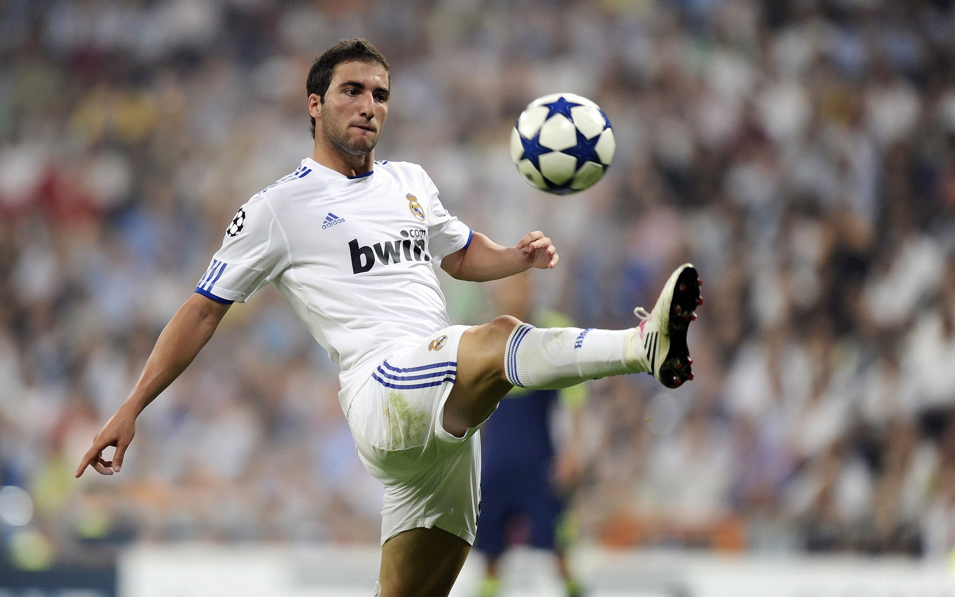 极限飞盘中国全国赛 上海队蝉联男子组冠军